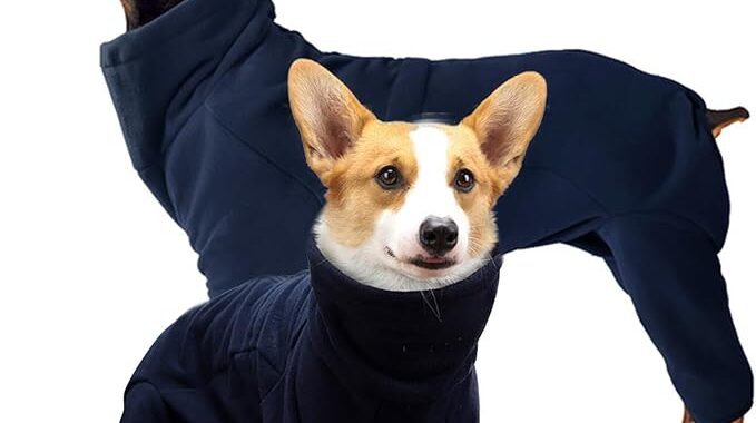 The Ultimate Guide to Comfort and Style: A Deep Dive into the ROZKITCH Dog Winter Coat